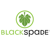 Blackspade