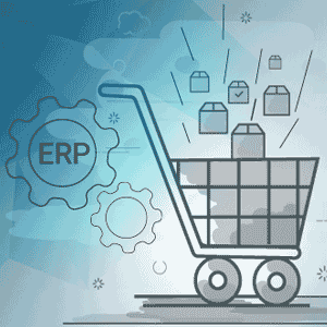 Ticari Yazılım Entegrasyonu