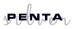 www.pentasilver.com.tr logo