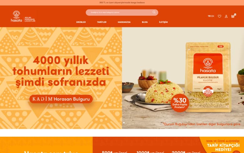 hasata.com.tr