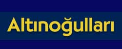 www.altinogullari.com logo
