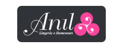 www.anil.com.tr logo