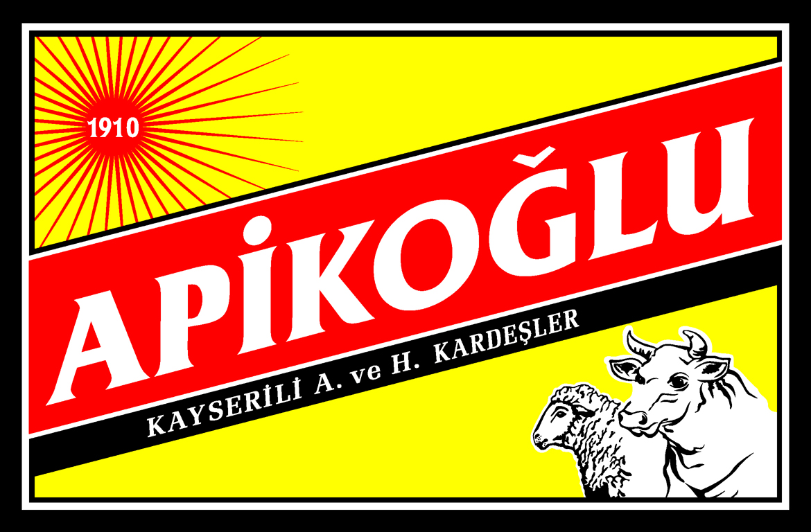 apikoglu.com.tr logo