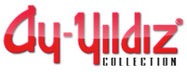www.ayyildiz.com.tr logo