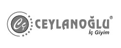 www.ceylanoglu.com.tr logo