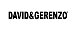 www.davidgerenzo.com logo