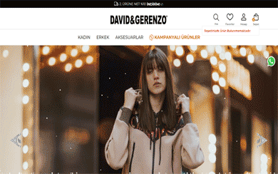 www.davidgerenzo.com