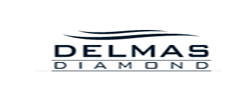 www.delmas.com.tr logo