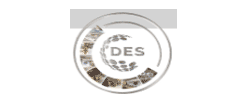 www.deselektrik.com logo