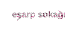 www.esarpsokagi.com logo