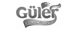 www.gulersucuklari.com logo