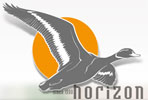 www.horizonav.com.tr logo