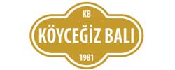 www.koycegizbali.com logo
