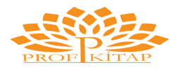 www.profkitap.com logo