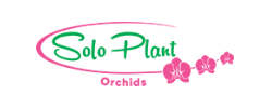 shop.soloplant.com logo