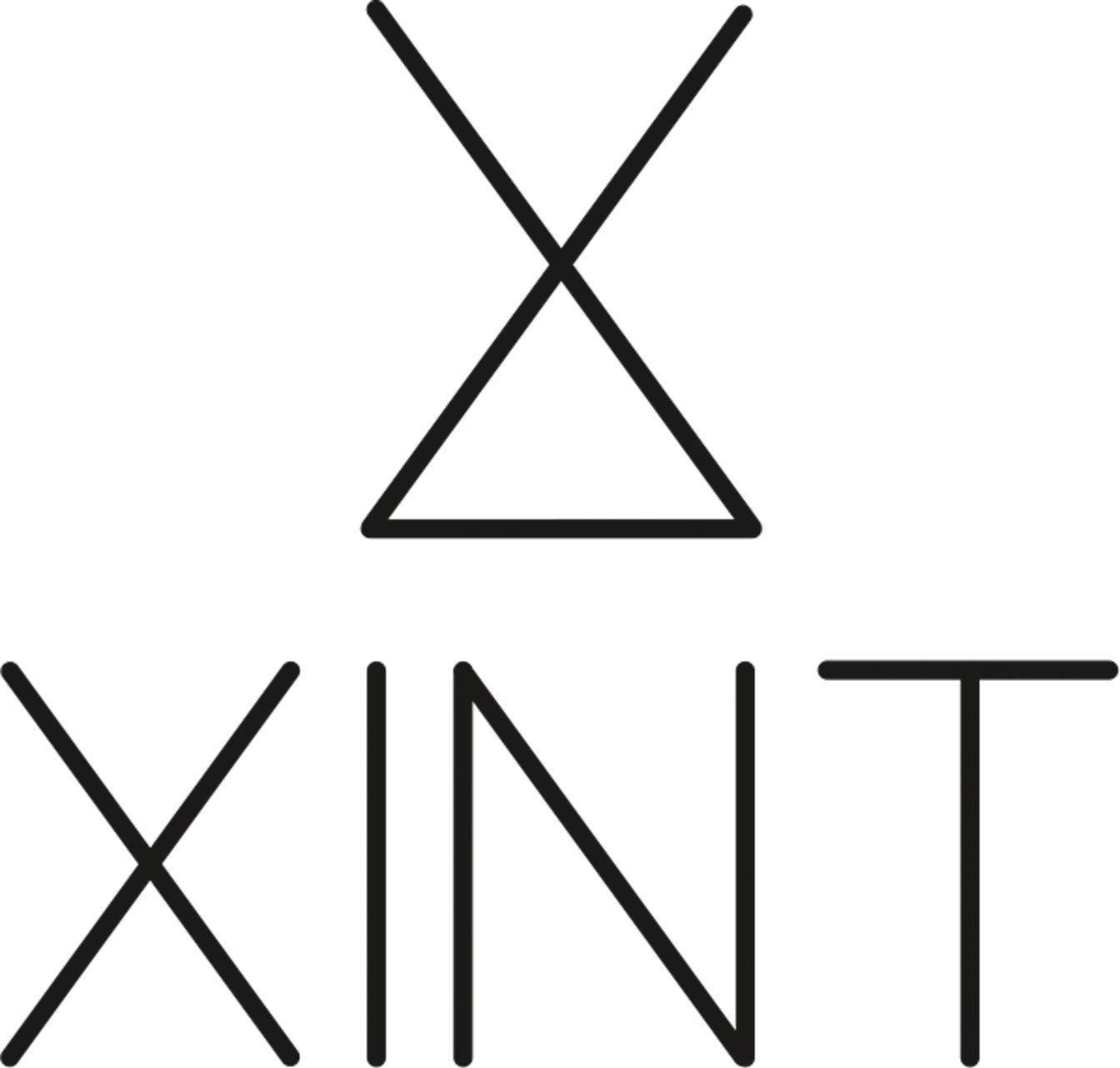 www.xint.com.tr logo