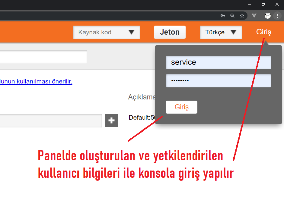 web servis